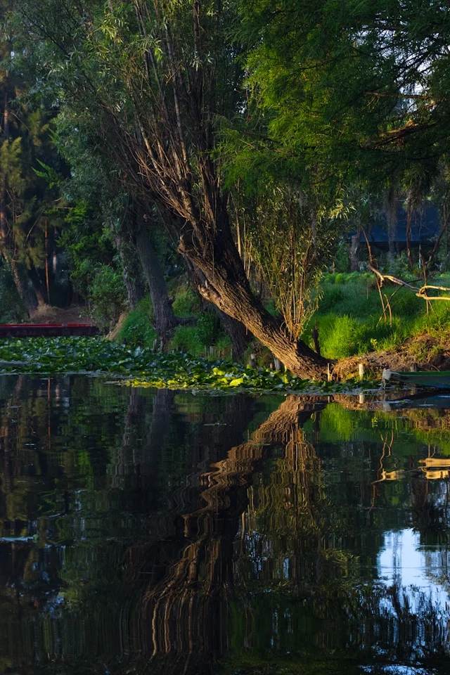 Sochimilco