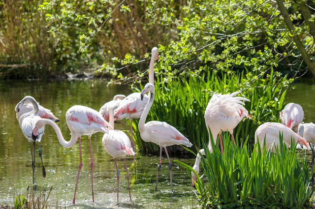 London Zoo 