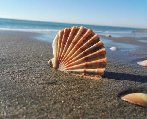 Beach near Rome