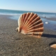 Beach near Rome