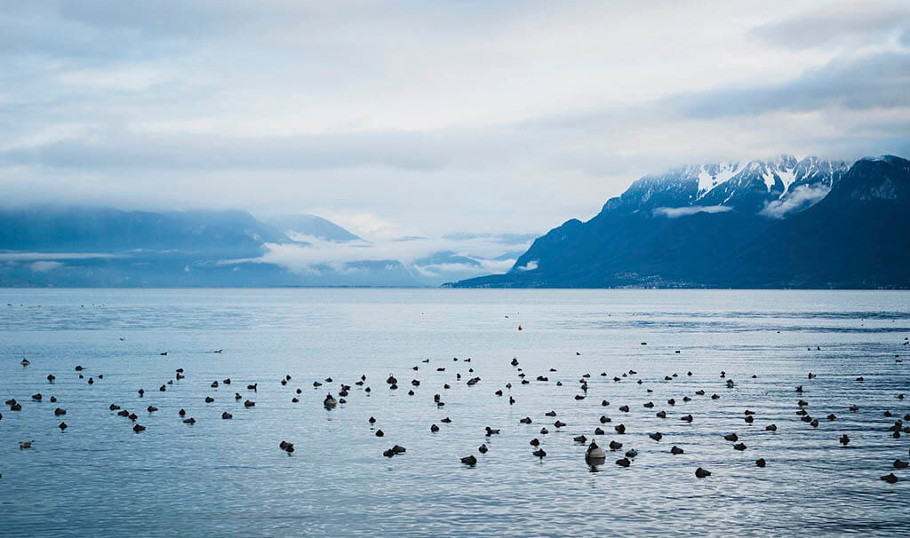 Switzerland in Winter: Geneva