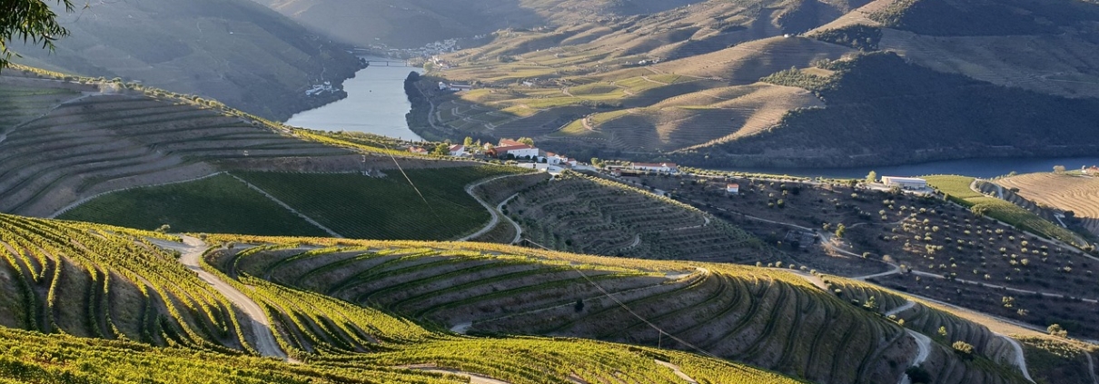 Douro Valley