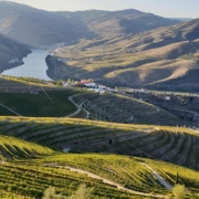 Douro Valley