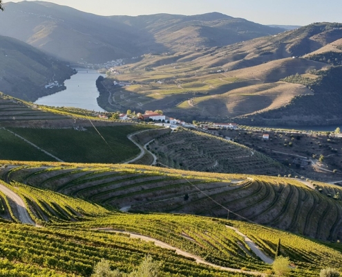 Douro Valley