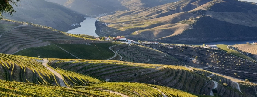 Douro Valley