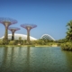 Singapore Bay Gardens
