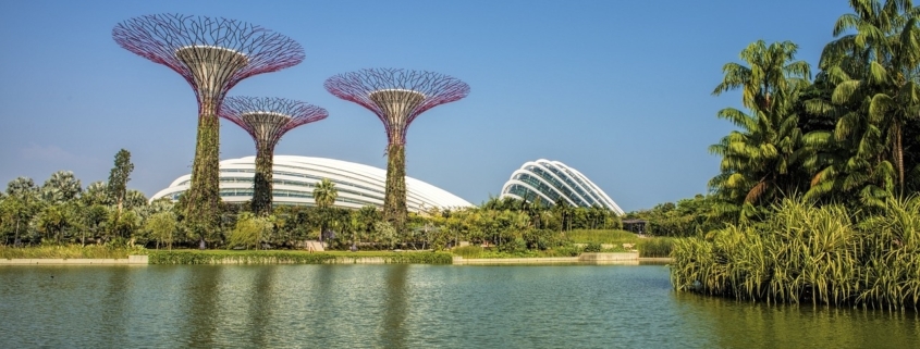 Singapore Bay Gardens