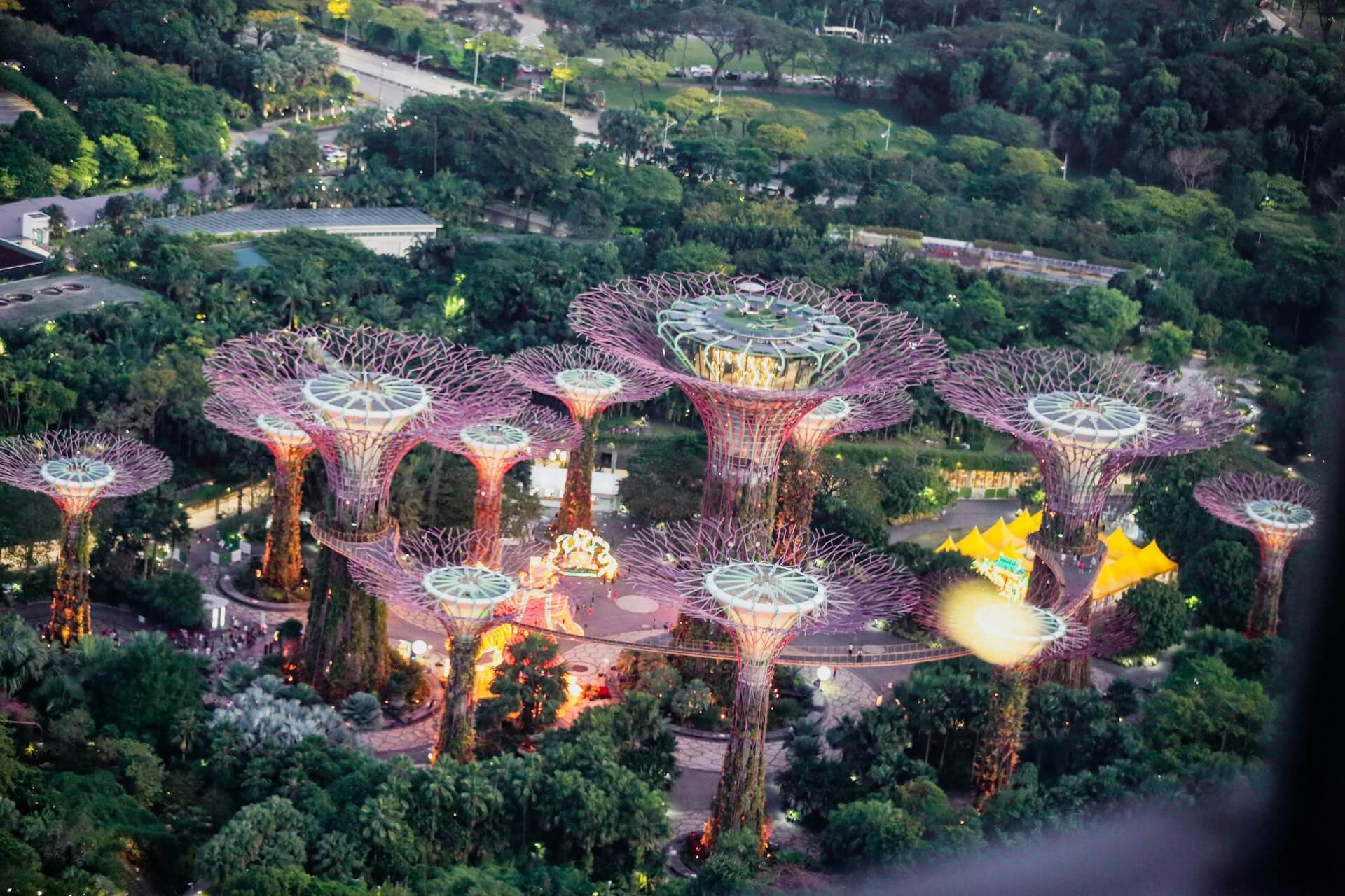 Supertree Grove