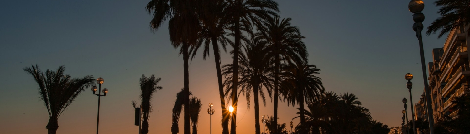 Nice in summer