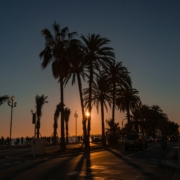 Nice in summer