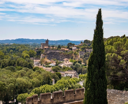 Avignon
