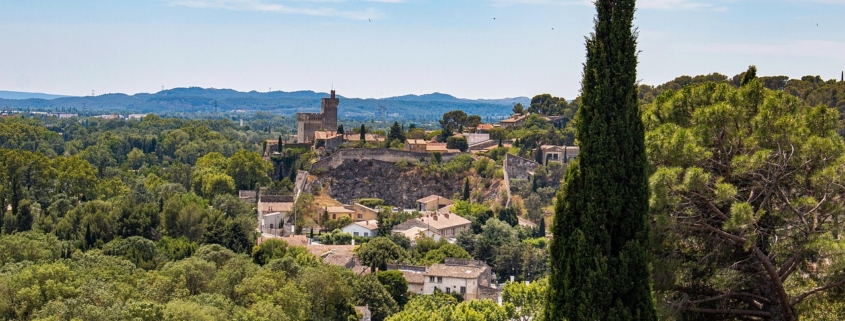 Avignon