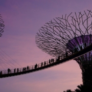 Singapore's observation decks