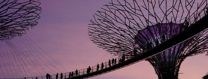 Singapore's observation decks