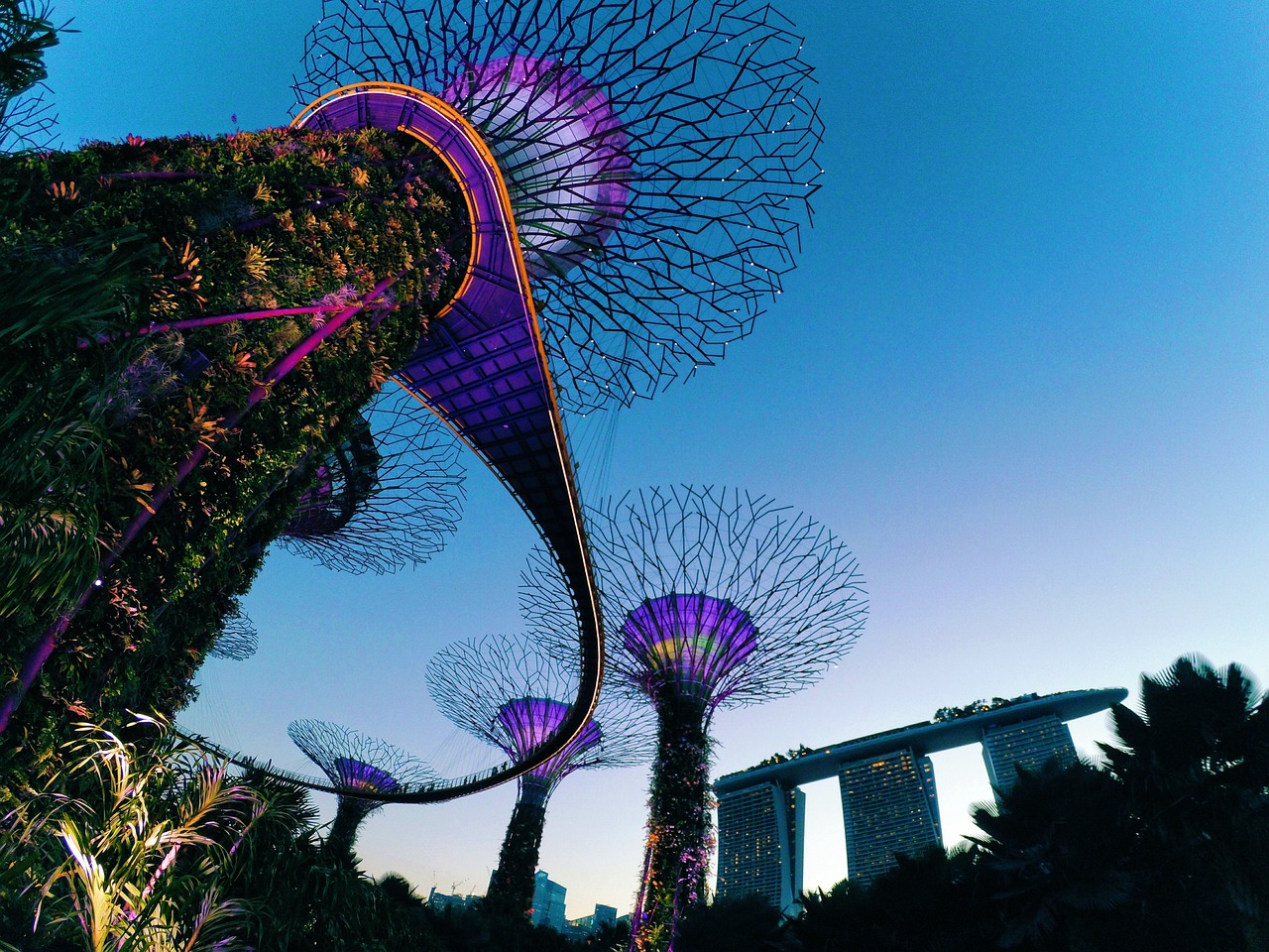 Gardens by the Bay