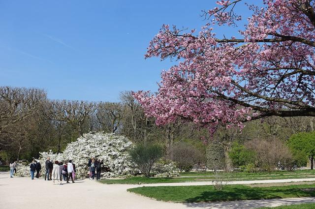 Jardin des Plants