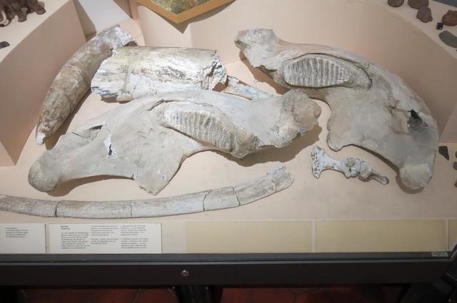 Archeological museum  Archeological museum