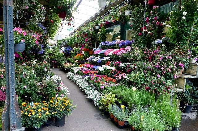 flower market