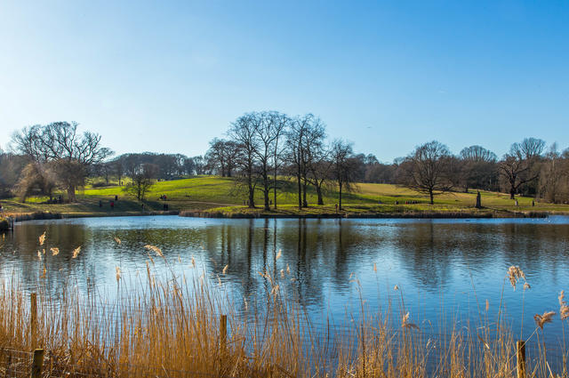 Hampstead Heath 