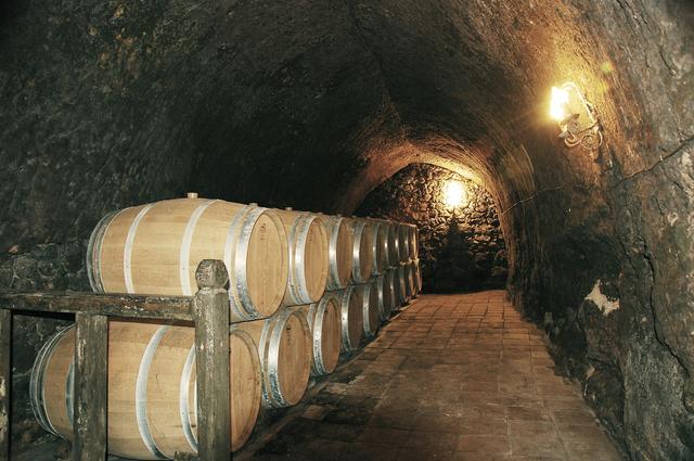 Wineries in Tuscany 