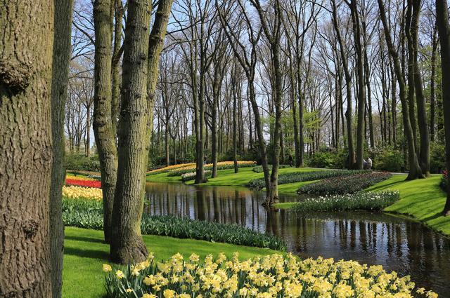 The Keukenhof Tulip Park