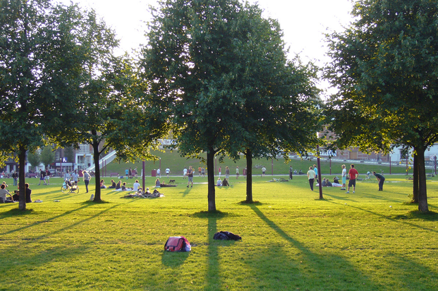 Amsterdam's museum district 