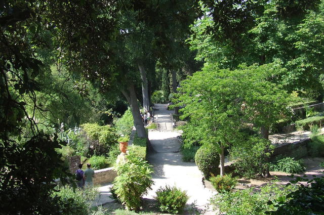 Botanical gardens 