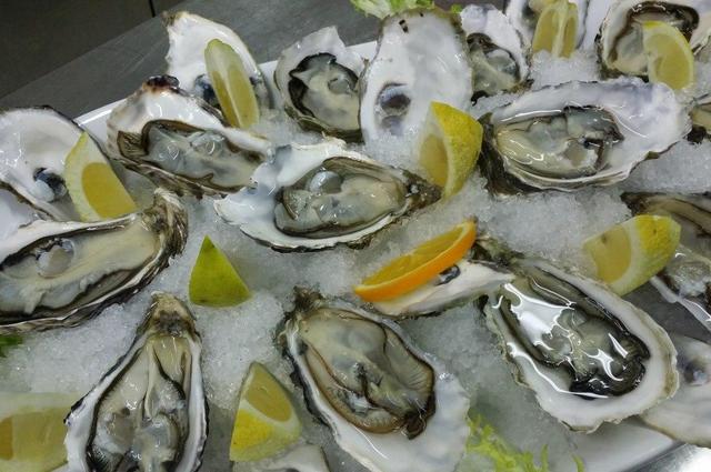 Oysters