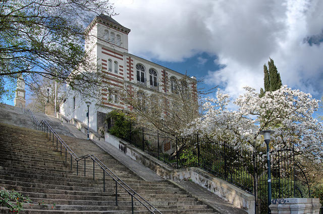 Jules Verne Museum