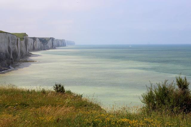 Opal Beach