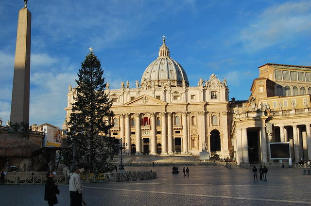 Christmas tree in the square at the Vatican