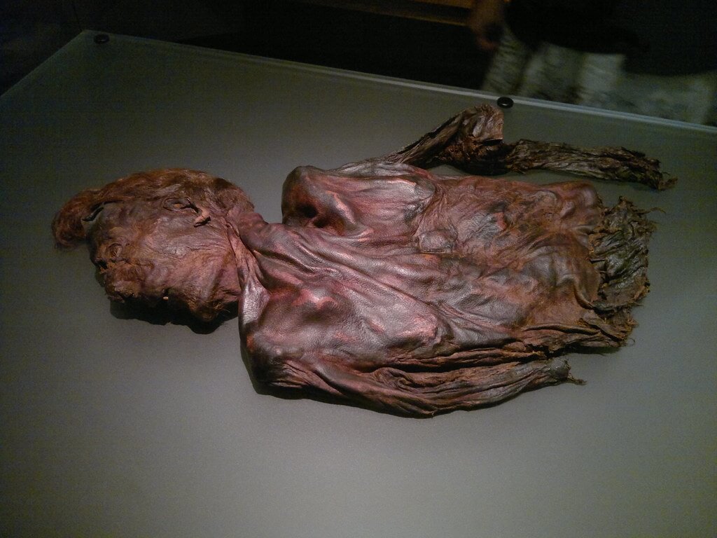 Clonycavan man in the Archeological museum in Dublin
