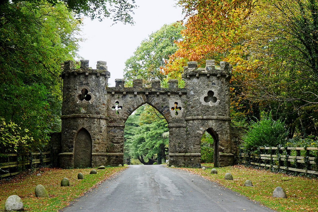Haunted forest and northern forests – Tollymore Forest Park