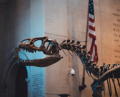 American Museum of Natural History