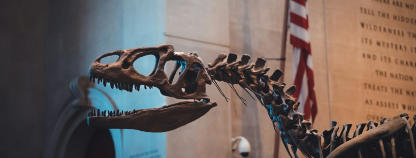 American Museum of Natural History American Museum of Natural History