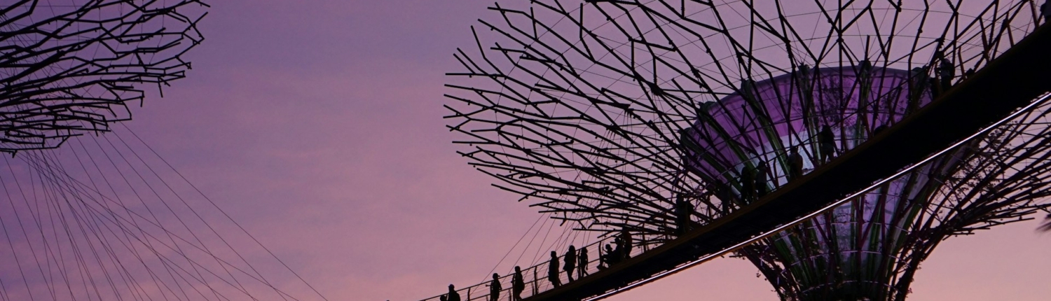 Singapore's observation decks